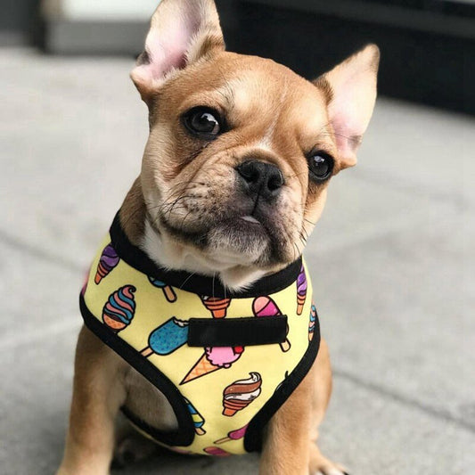 Breathable Small Dog Pet Harness Puppy Cat Vest Harness Collar For Chihuahua Pug Bulldog Cat arnes perro