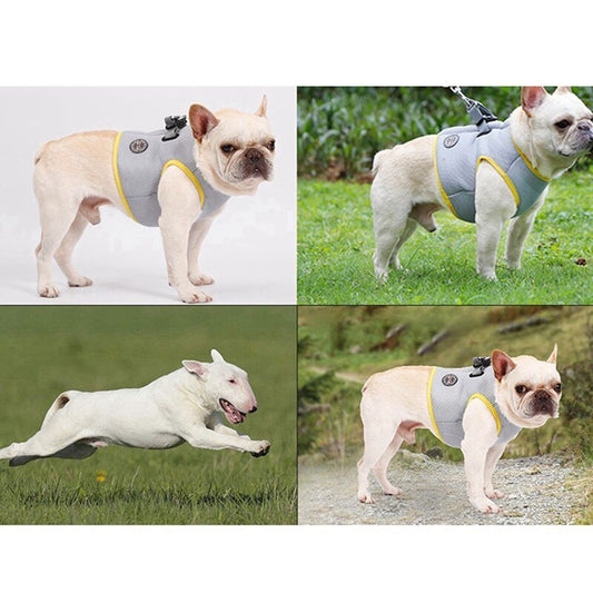 Dog Harness and Leash Set for Chihuahua Pug Small Medium Puppy Cat Harnesses Vest Cooling Walking Lead Harness