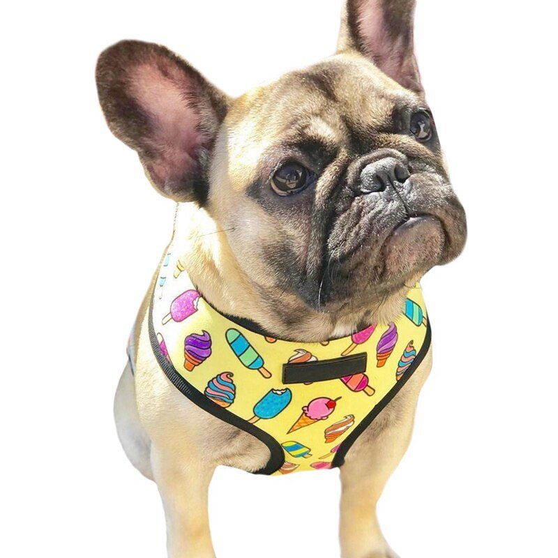 Breathable Small Dog Pet Harness Puppy Cat Vest Harness Collar For Chihuahua Pug Bulldog Cat arnes perro