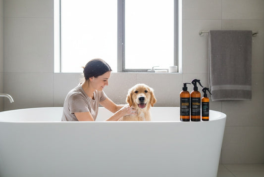 Hunde-Shampoo, Conditioner & Dermal Scratch Spray (Sensitive)  – Sanfte & Natürliche Pflege für empfindliche Haut